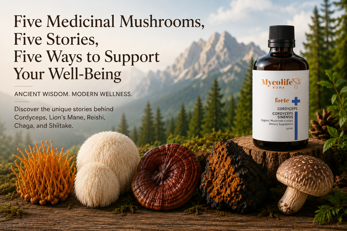 Five Medicinal Mushrooms: Five Stories and Traditions