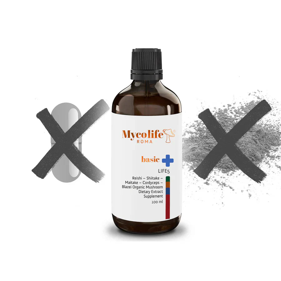 Mycolife: Organic Liquid Mushroom Extracts and Our Production Approach