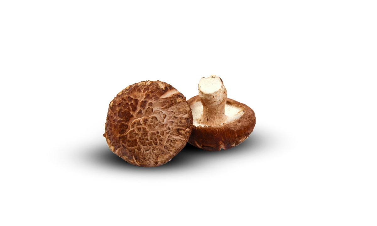 Shiitake