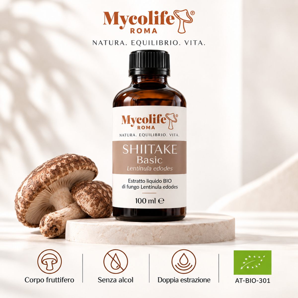 Shiitake Liquid Extract BASIC 100ml | Mycolife BIO