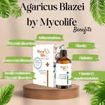 Basic Blazei Mushroom Extract - 100ml - Mycolife