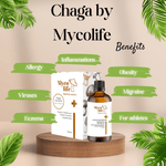 Basic Chaga Mushroom Extract - 100ml - Mycolife