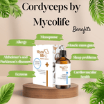 Basic Cordyceps Mushroom Extract - 100ml - Mycolife