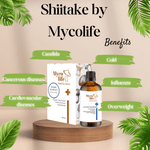 Basic Shiitake Mushroom Extract - 100ml - Mycolife