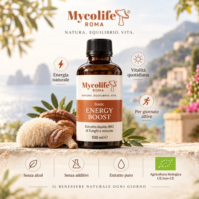 Mycolife Energy Boost BASIC 100 ml organic liquid mushroom blend