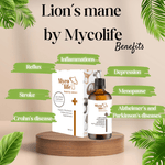 Hericium (Lion's Mane) FORTE liquid mushroom extract 150 ml – Mycolife