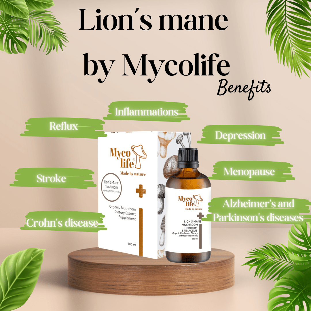 Hericium (Lion's Mane) FORTE liquid mushroom extract 150 ml – Mycolife